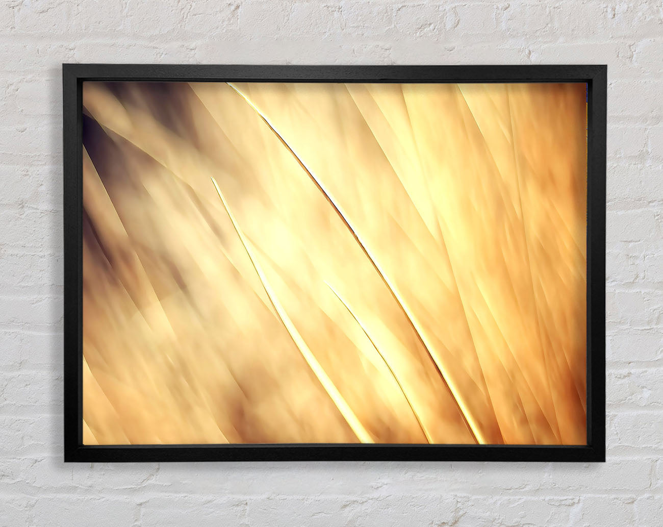 Autumn Grass Framed Wall Art