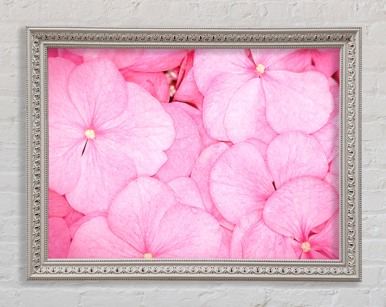 Bed Of Petals Framed Wall Art