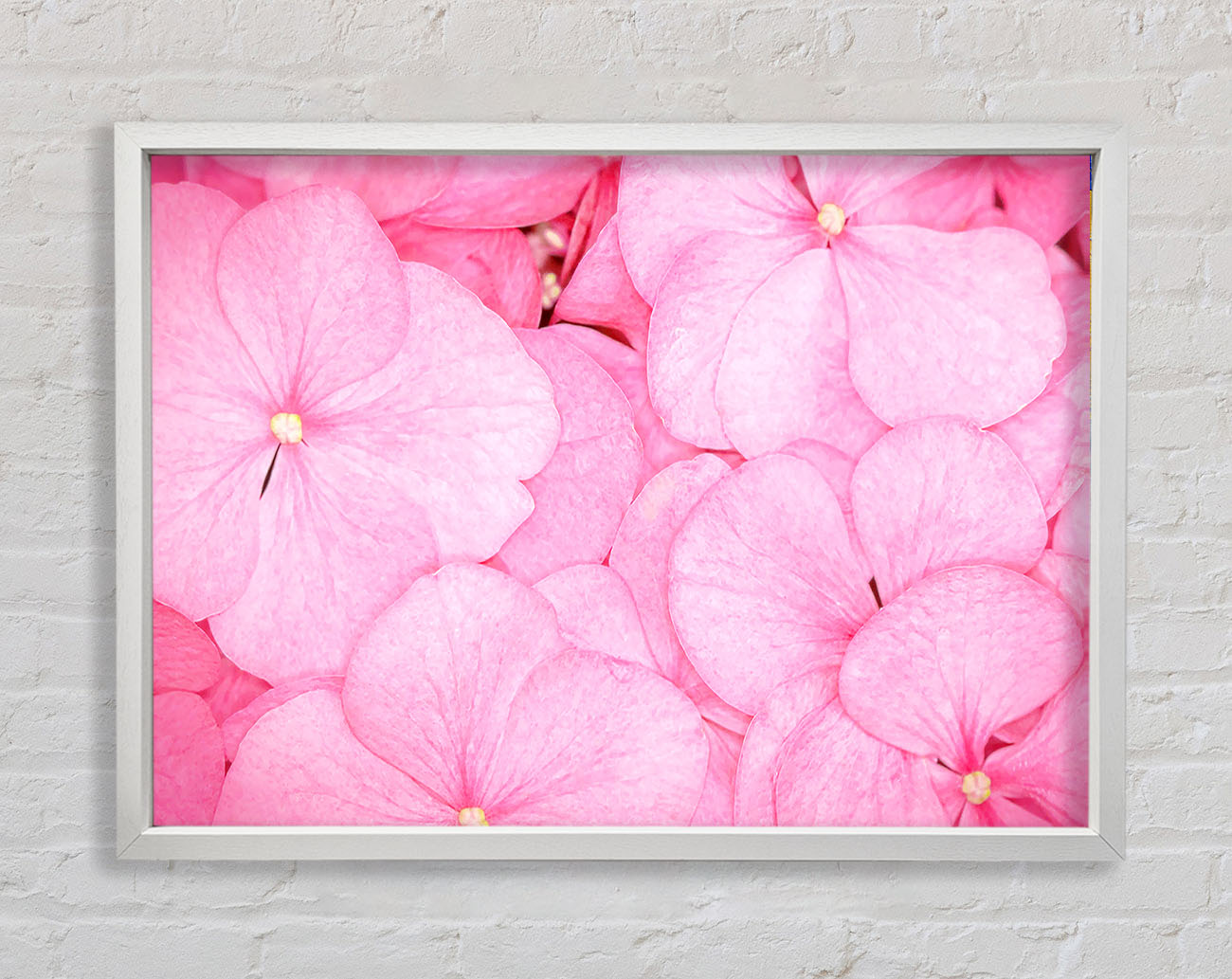 Bed Of Petals Framed Wall Art