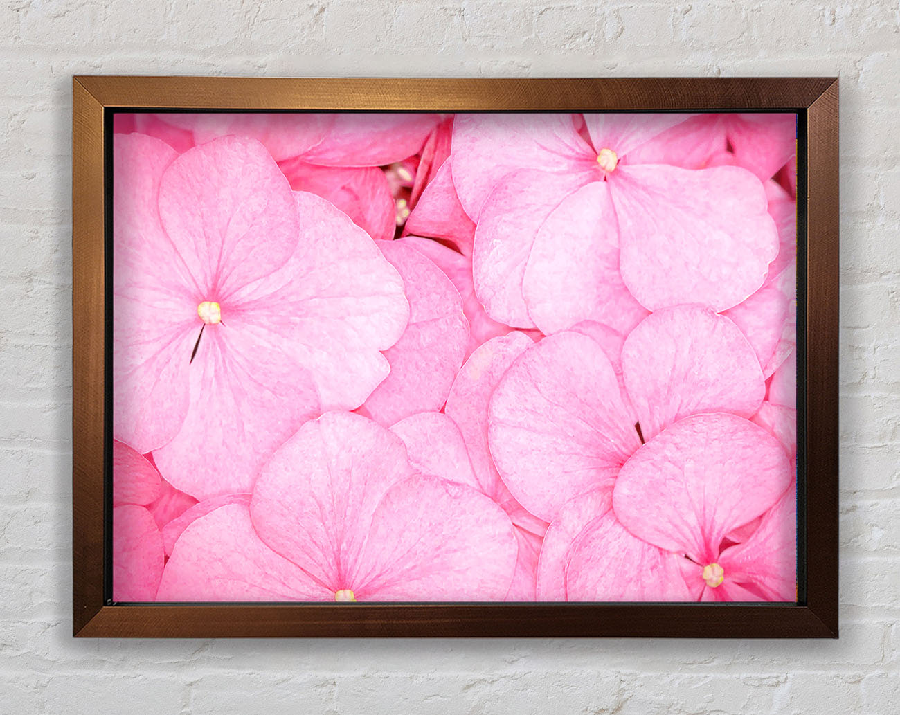 Bed Of Petals Framed Wall Art