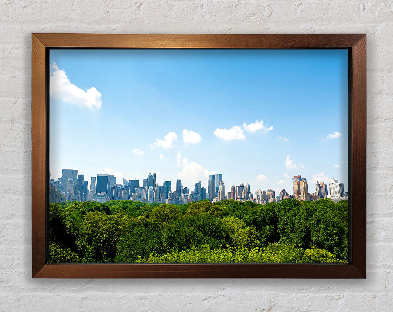 Central Park New York City Framed Wall Art