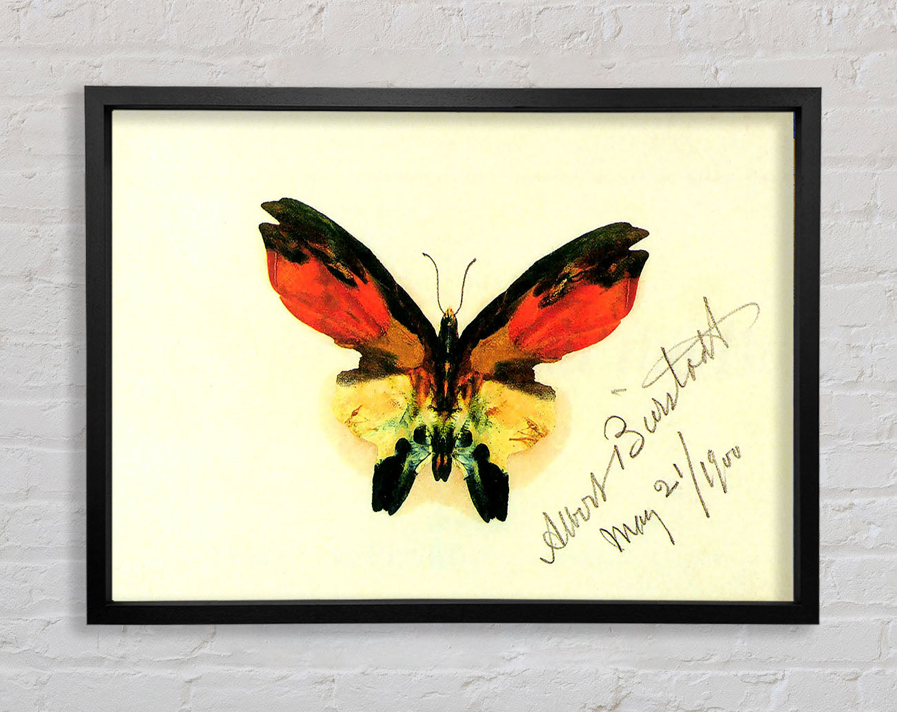 Bierstadt Butterfly 2 Framed Wall Art