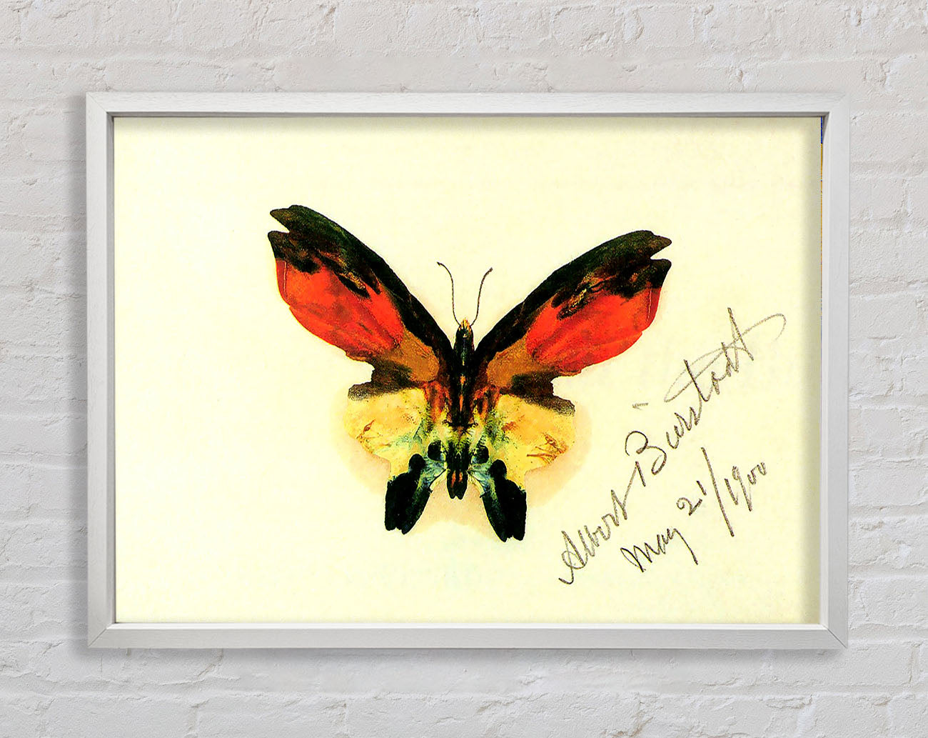 Bierstadt Butterfly 2 Framed Wall Art