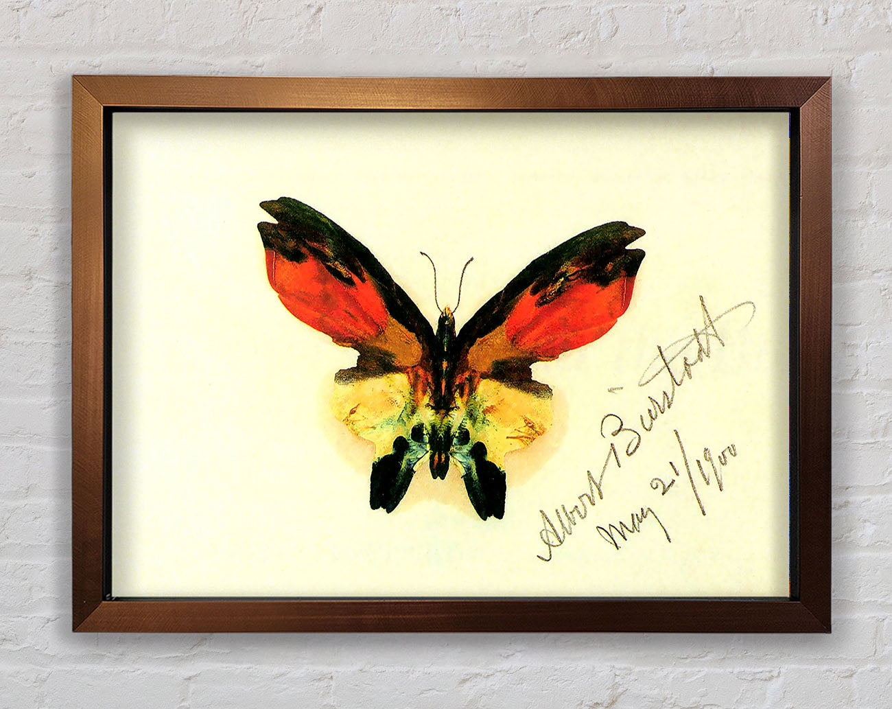 Bierstadt Butterfly 2 Framed Wall Art