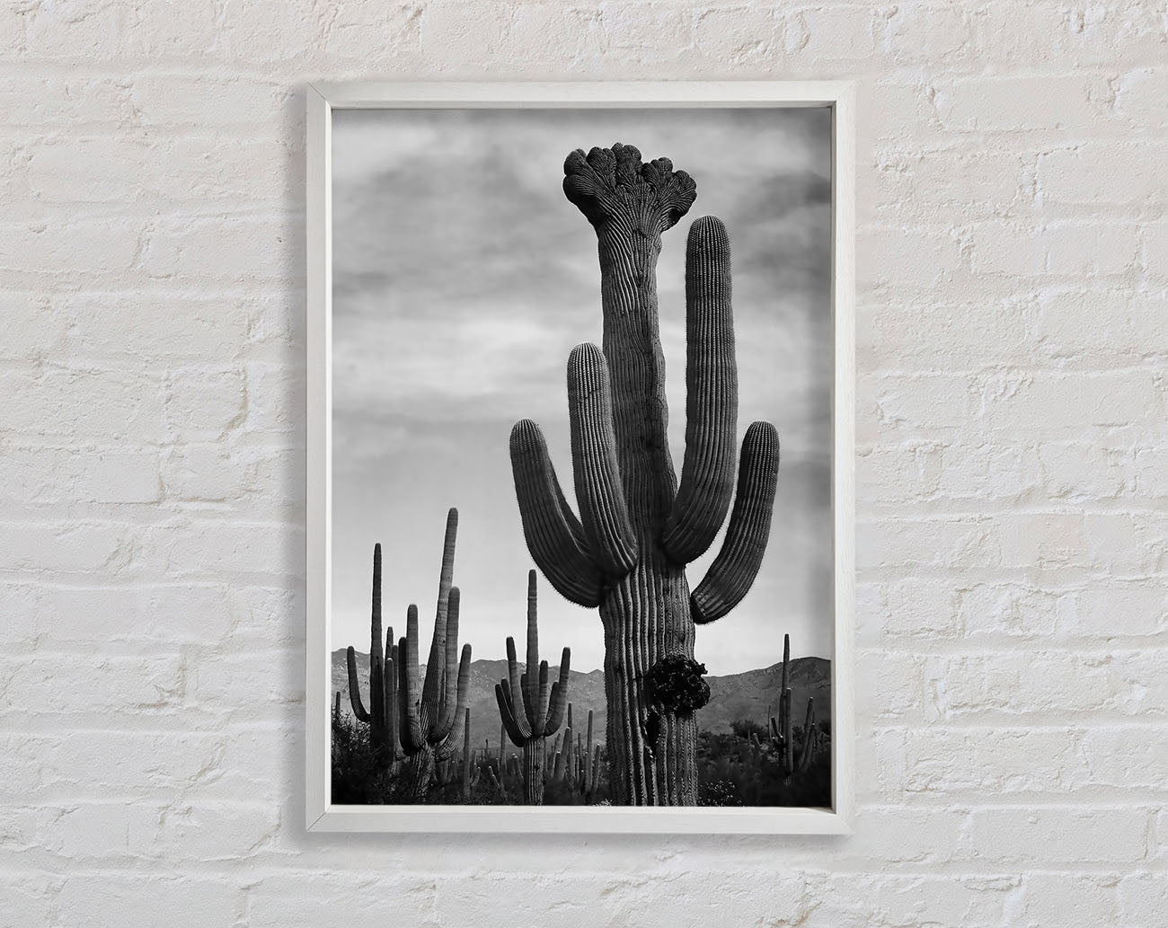 Ansel Adams Cactus In Saguaro National Monument In Arizona B n W Framed Wall Art