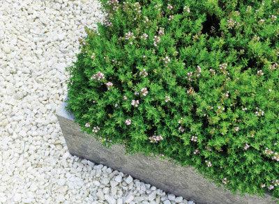 9-12mm Polar White Chippings