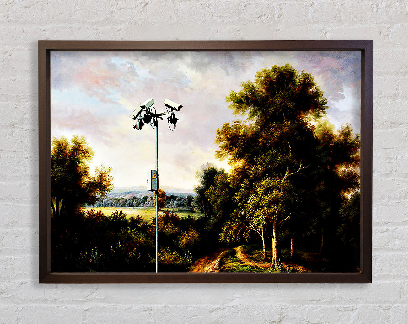 Countryside Cctv Framed Wall Art