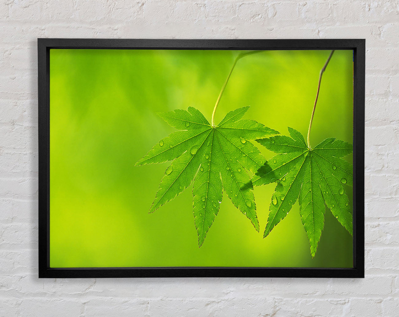 Branch With GreenDewsdrop Leaves Framed Wall Art