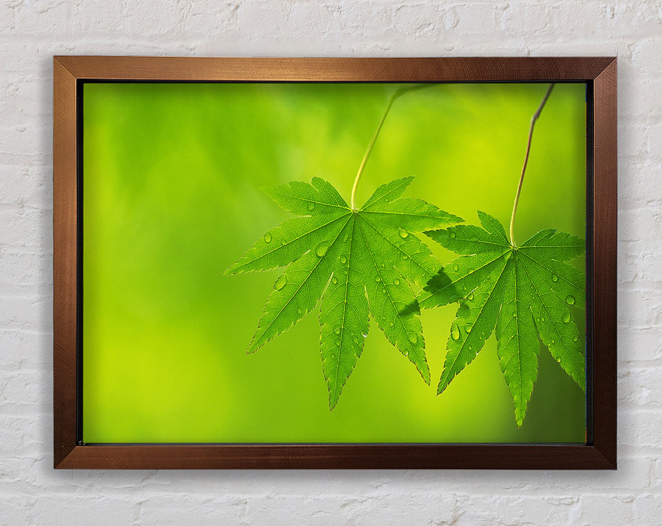 Branch With GreenDewsdrop Leaves Framed Wall Art