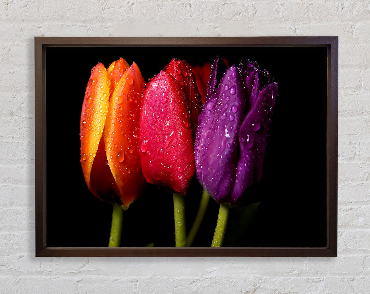 Colourful Tulips Framed Wall Art