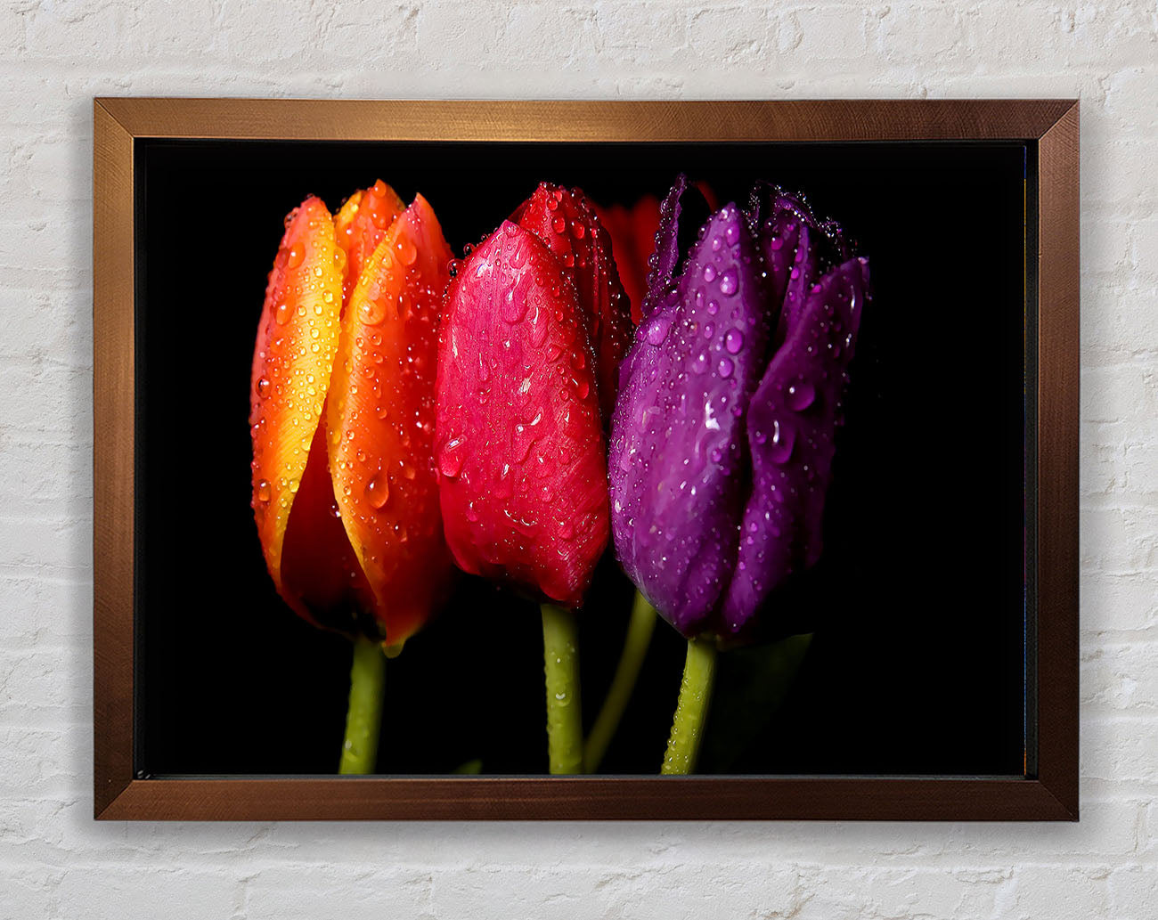 Colourful Tulips Framed Wall Art