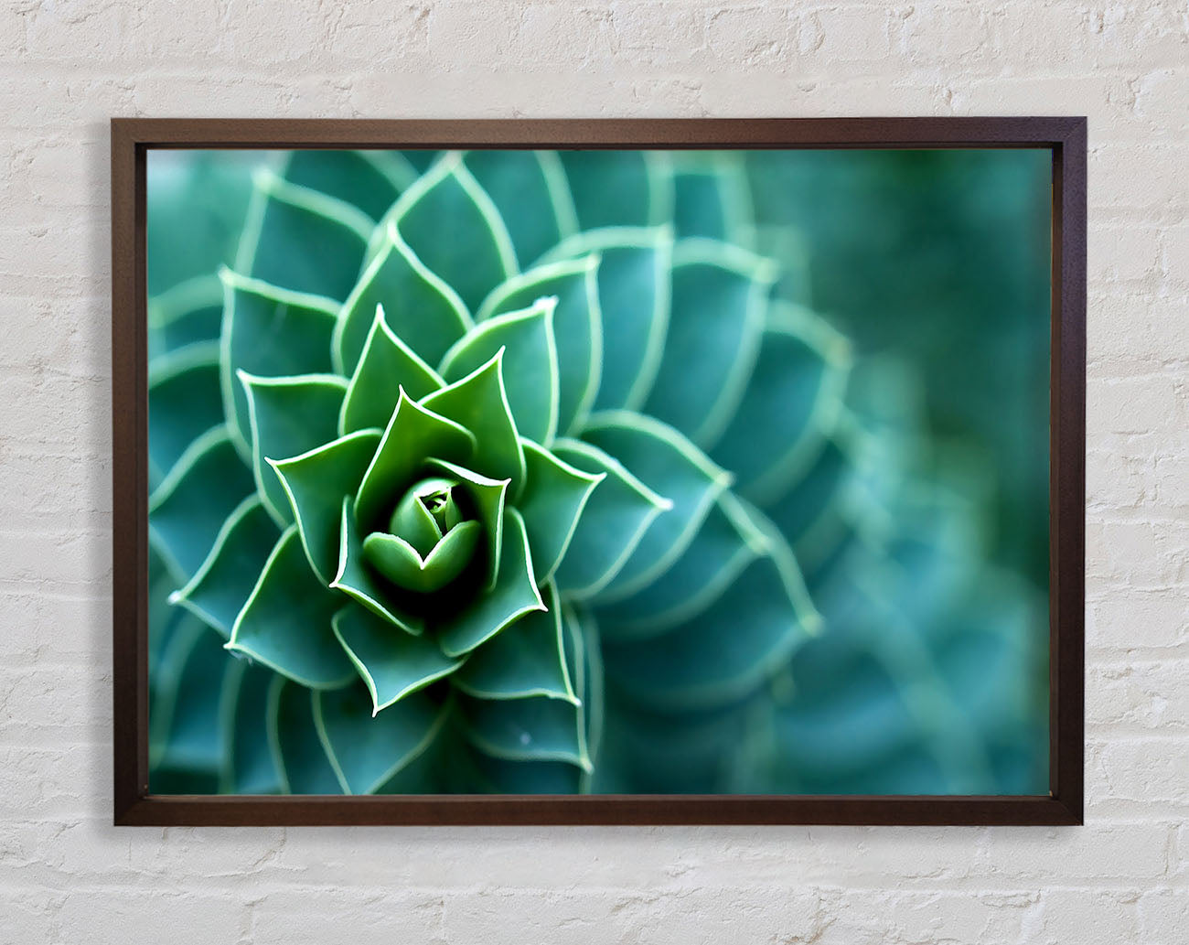 Beautiful Plant Framed Wall Art