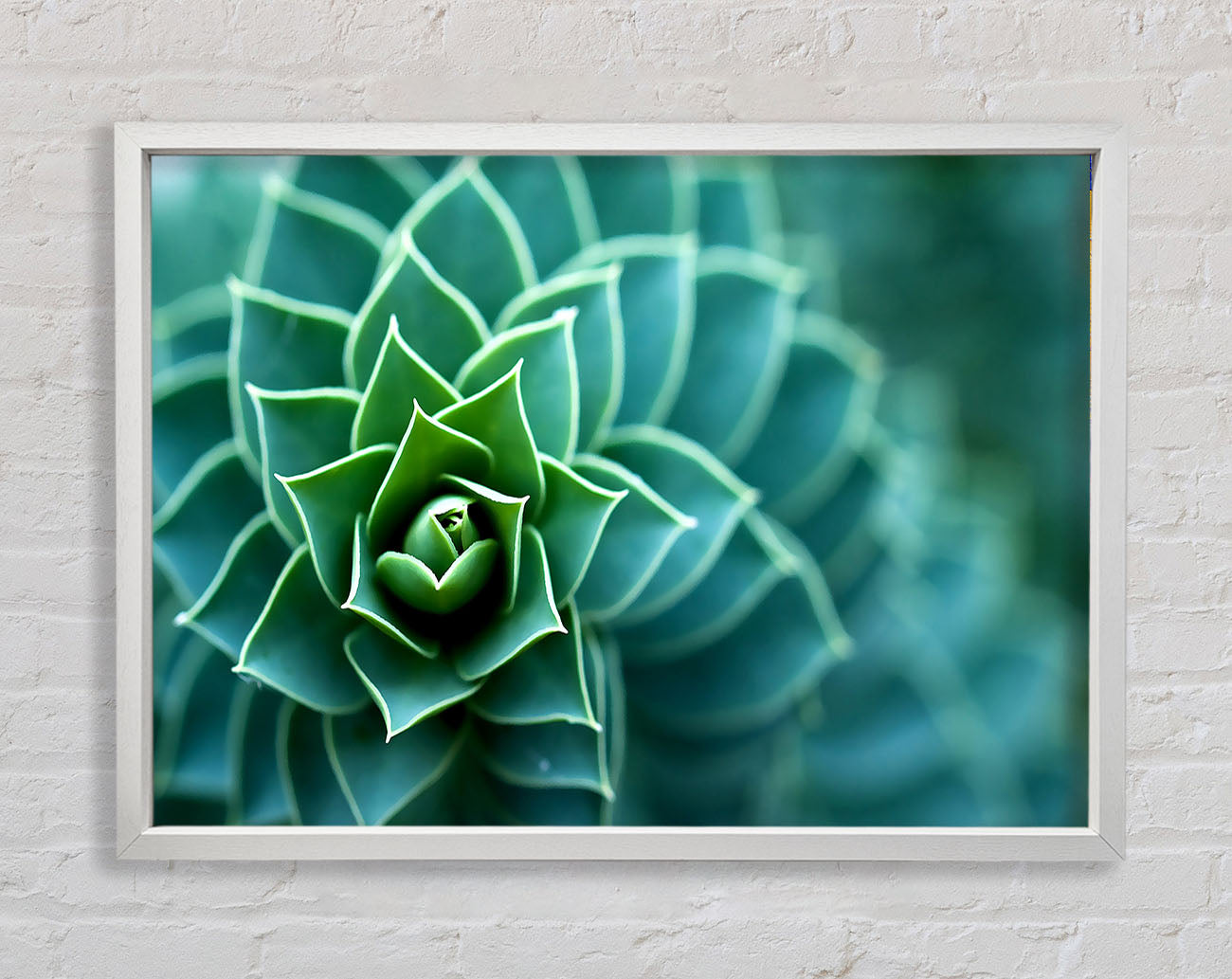Beautiful Plant Framed Wall Art