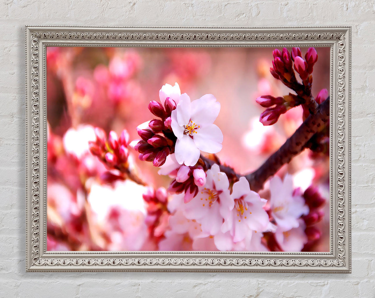 Cherry Blossom Buds Framed Wall Art