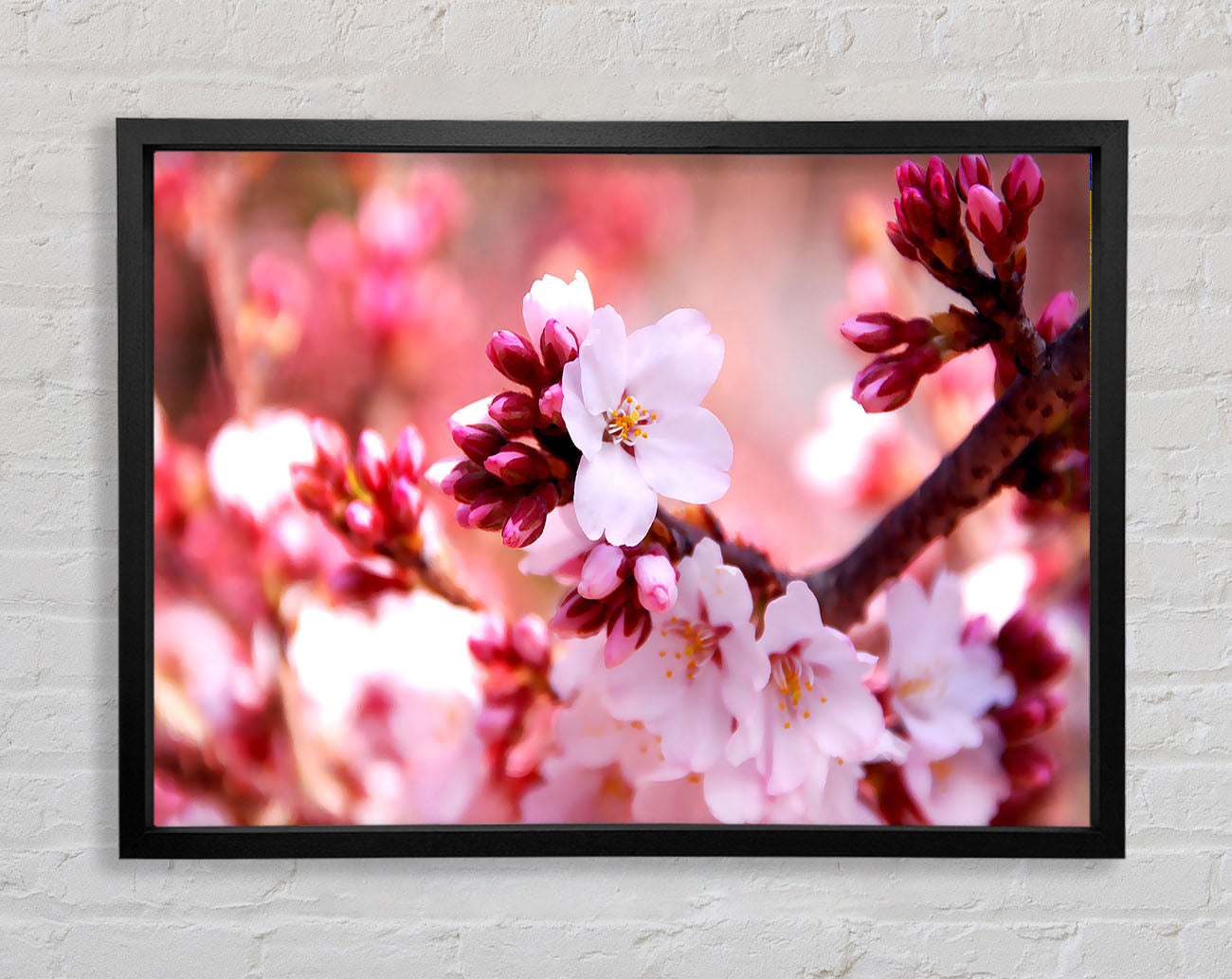 Cherry Blossom Buds Framed Wall Art