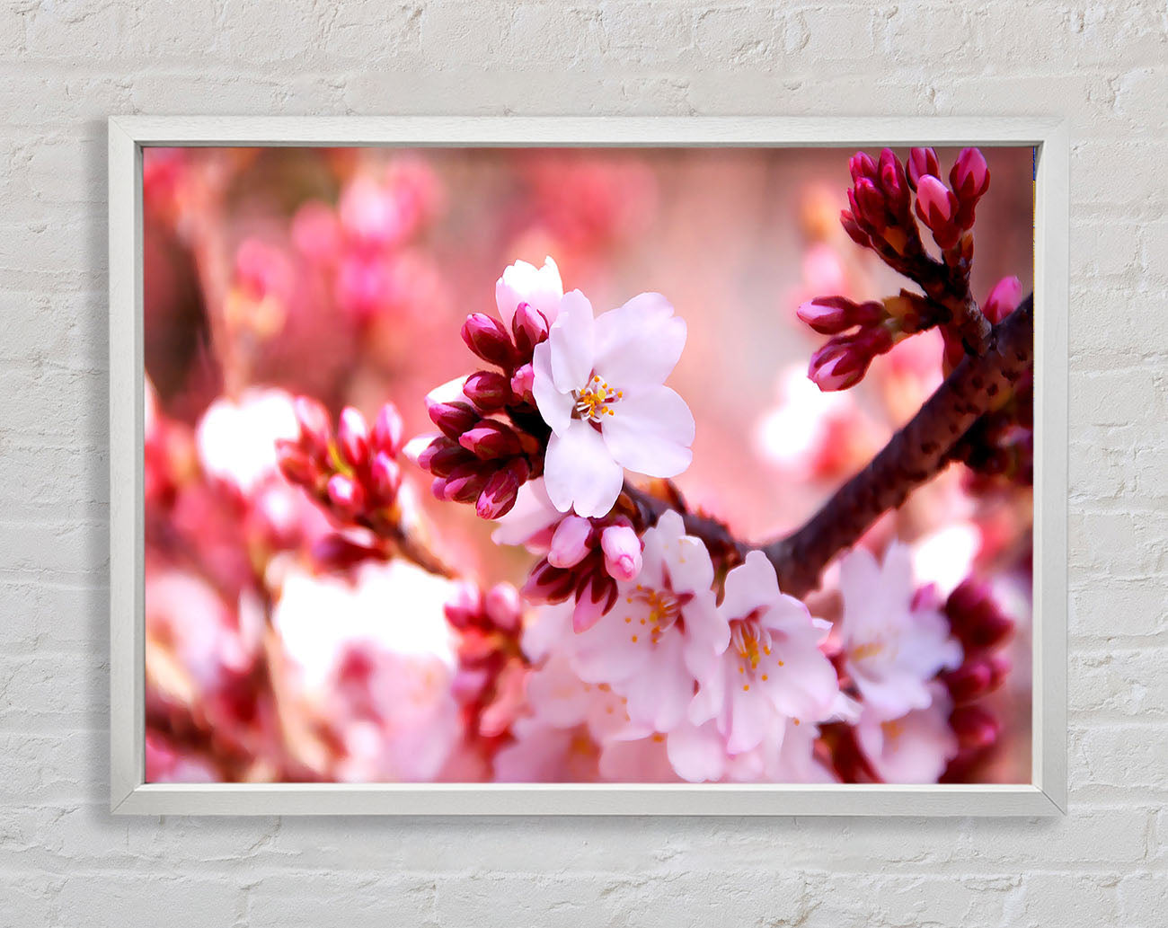 Cherry Blossom Buds Framed Wall Art