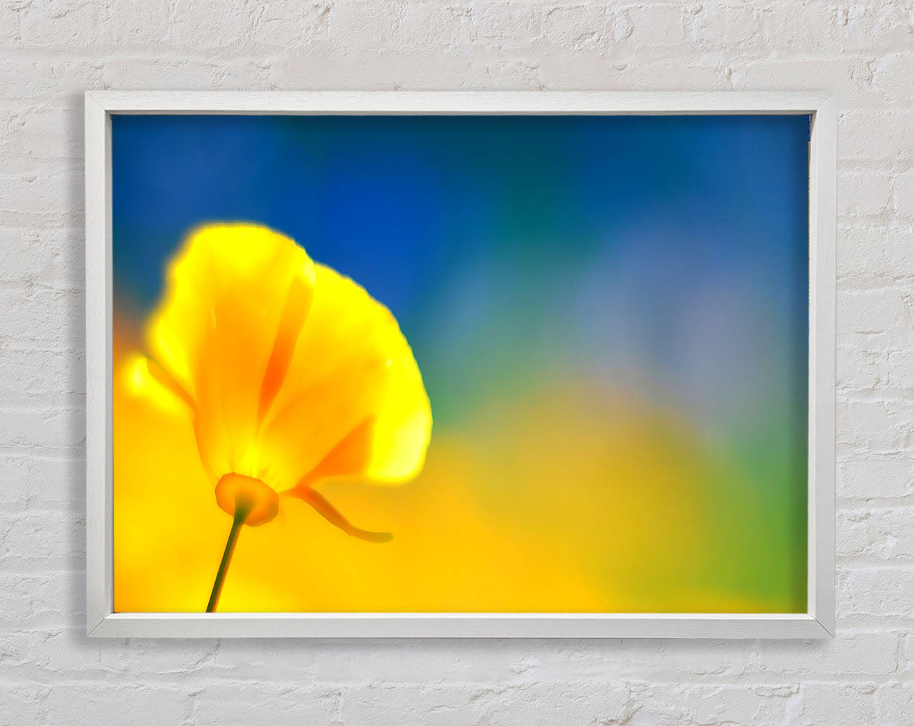California Poppy Yellow Framed Wall Art