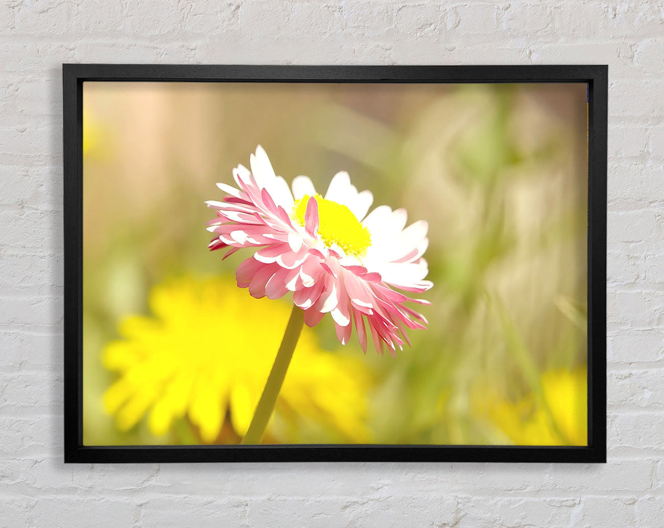 Beautiful Summer Pink Flower Framed Wall Art