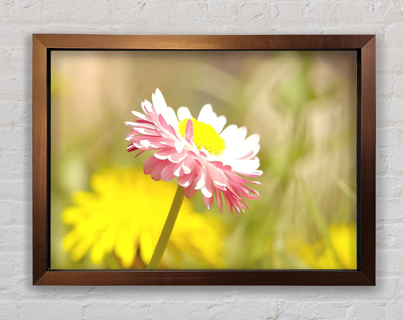 Beautiful Summer Pink Flower Framed Wall Art