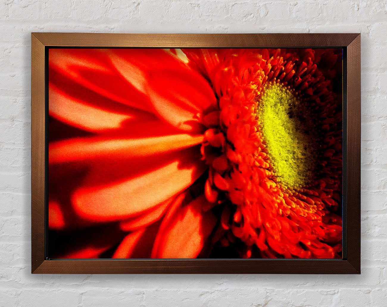 Close-up Of A Gerbera Framed Wall Art