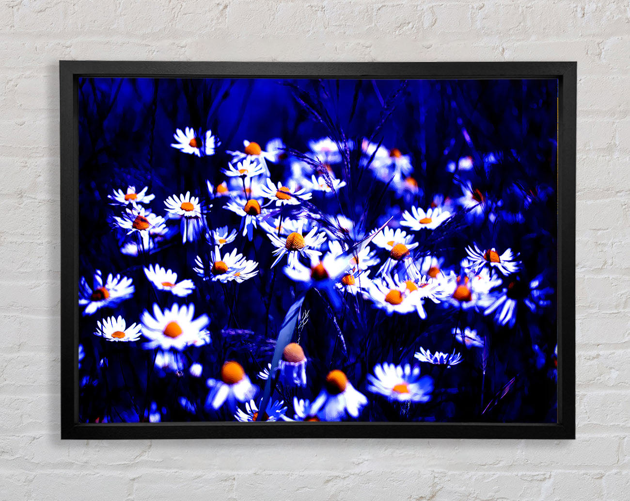 Chamomile Flowers Framed Wall Art