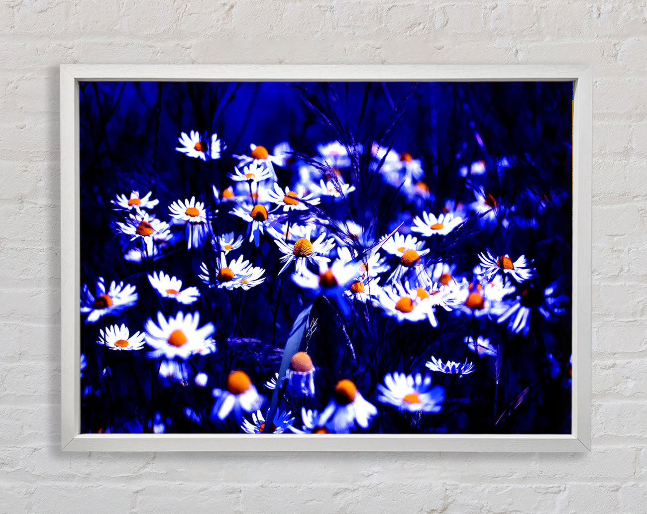 Chamomile Flowers Framed Wall Art