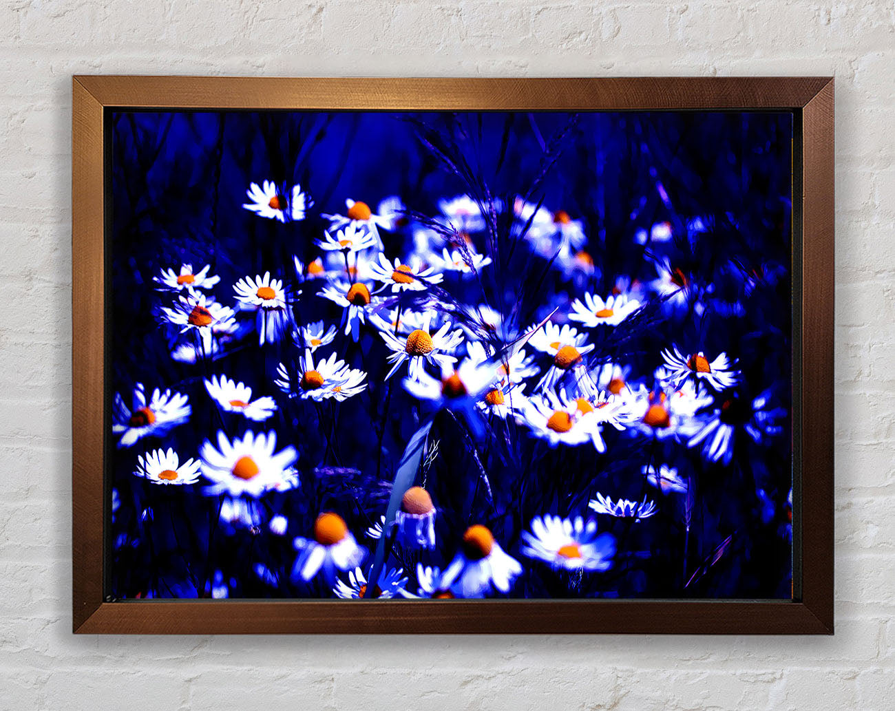 Chamomile Flowers Framed Wall Art