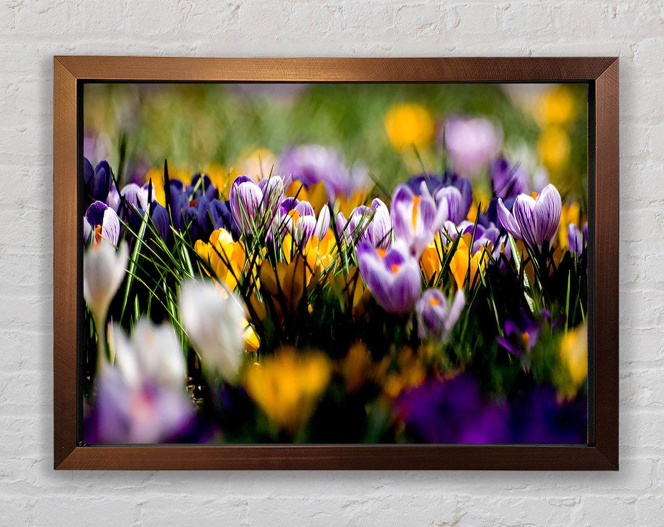 Crocus Field Framed Wall Art