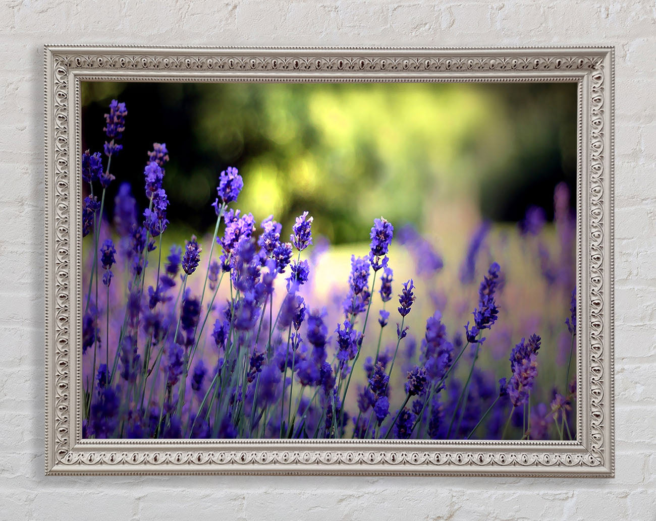 Beautiful Lavender Flowers Framed Wall Art