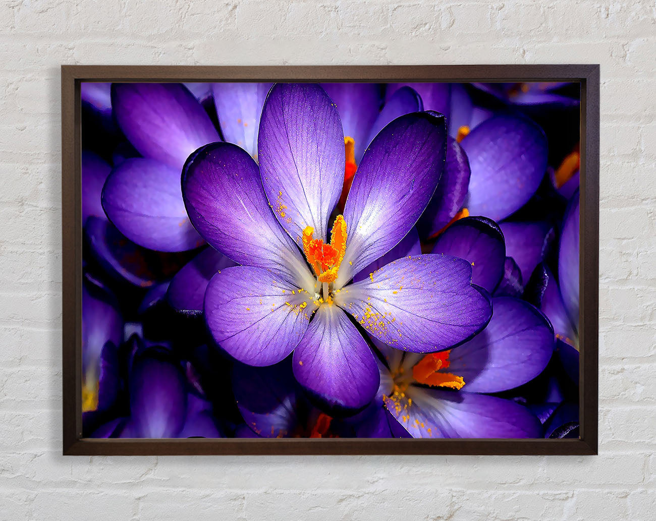 Crocuses Purple Framed Wall Art