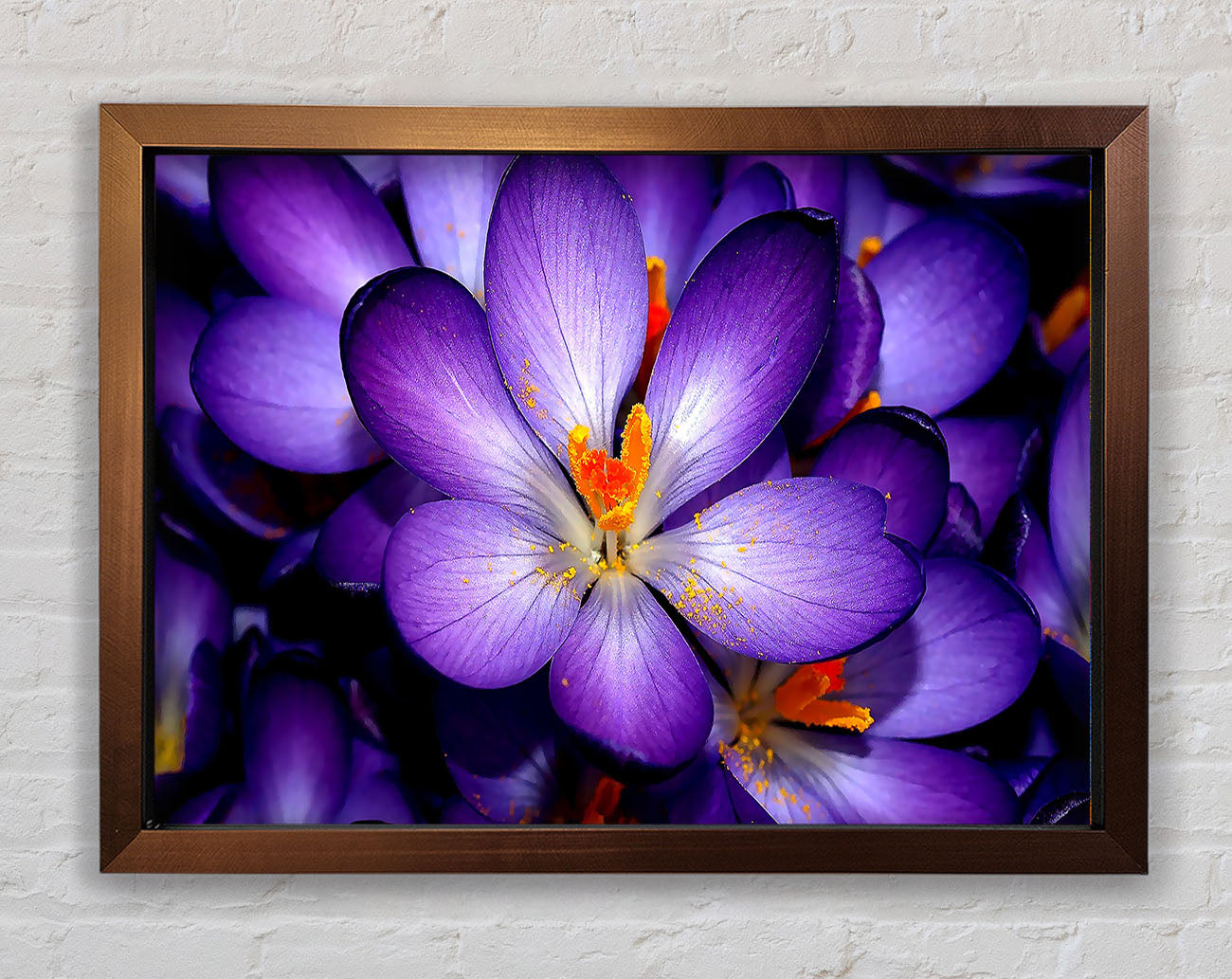 Crocuses Purple Framed Wall Art