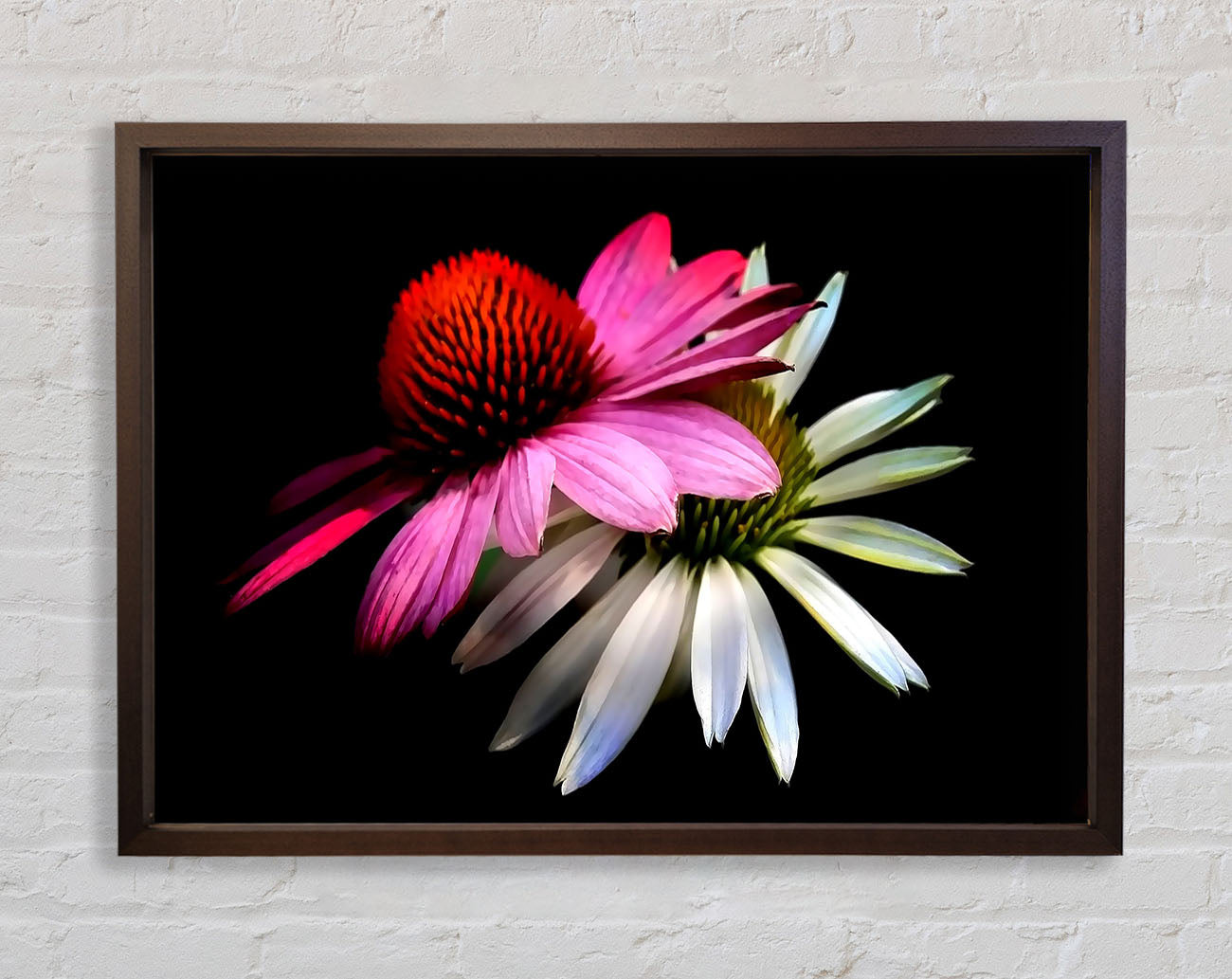 Cone Flowers Black Background Framed Wall Art