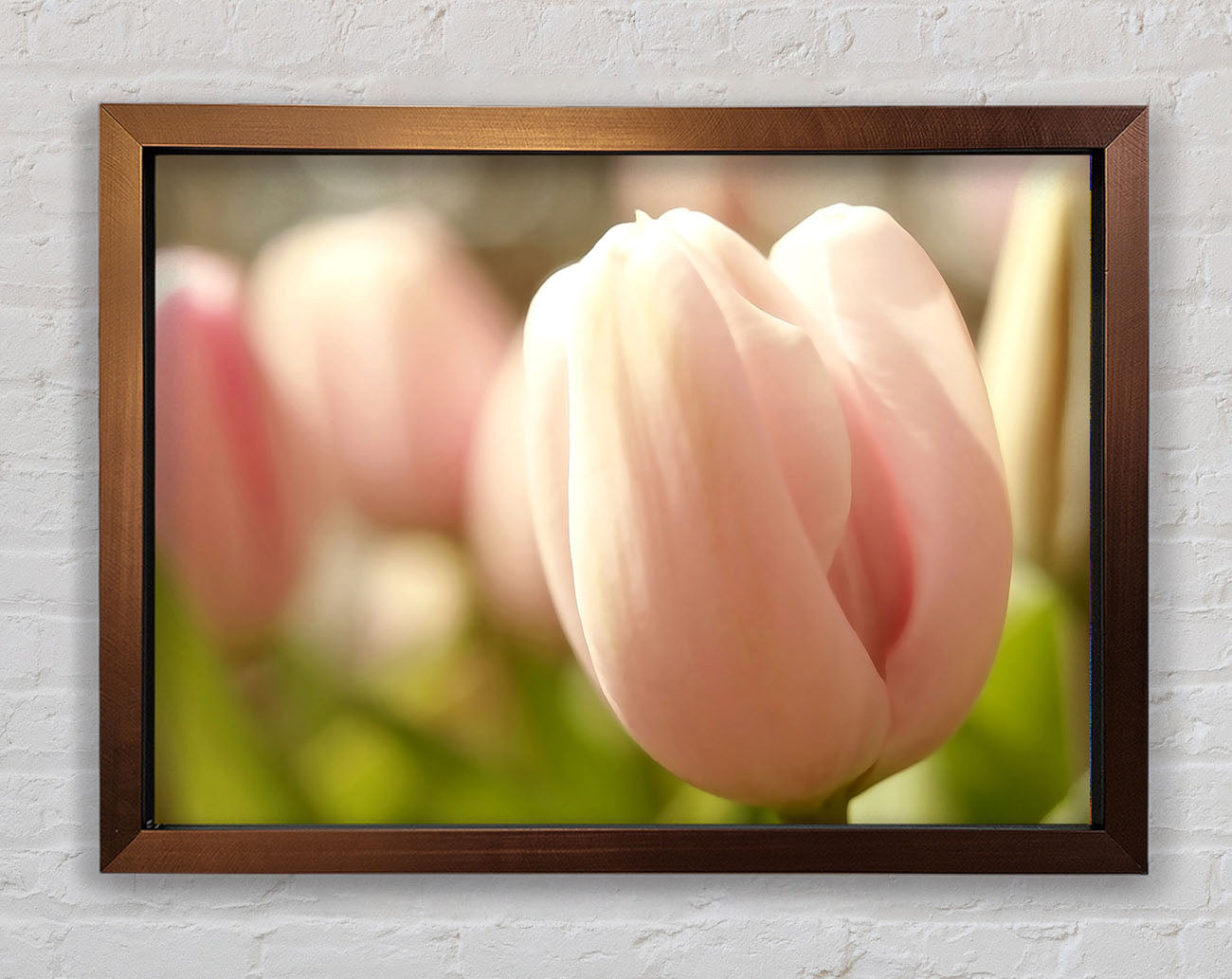 Baby Pink Tulip Framed Wall Art