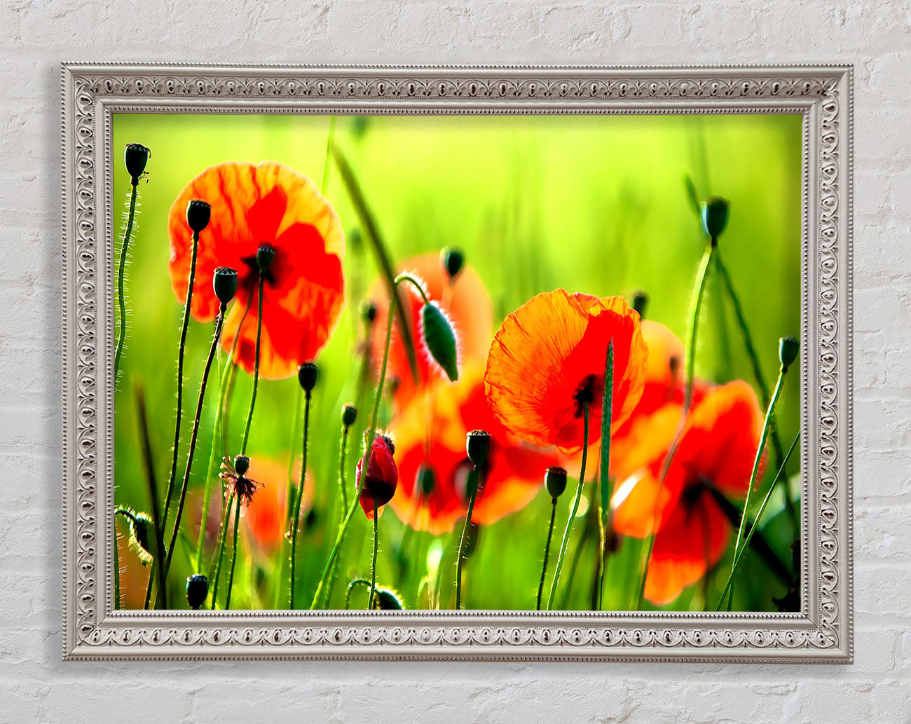 Beautiful Poppies Framed Wall Art