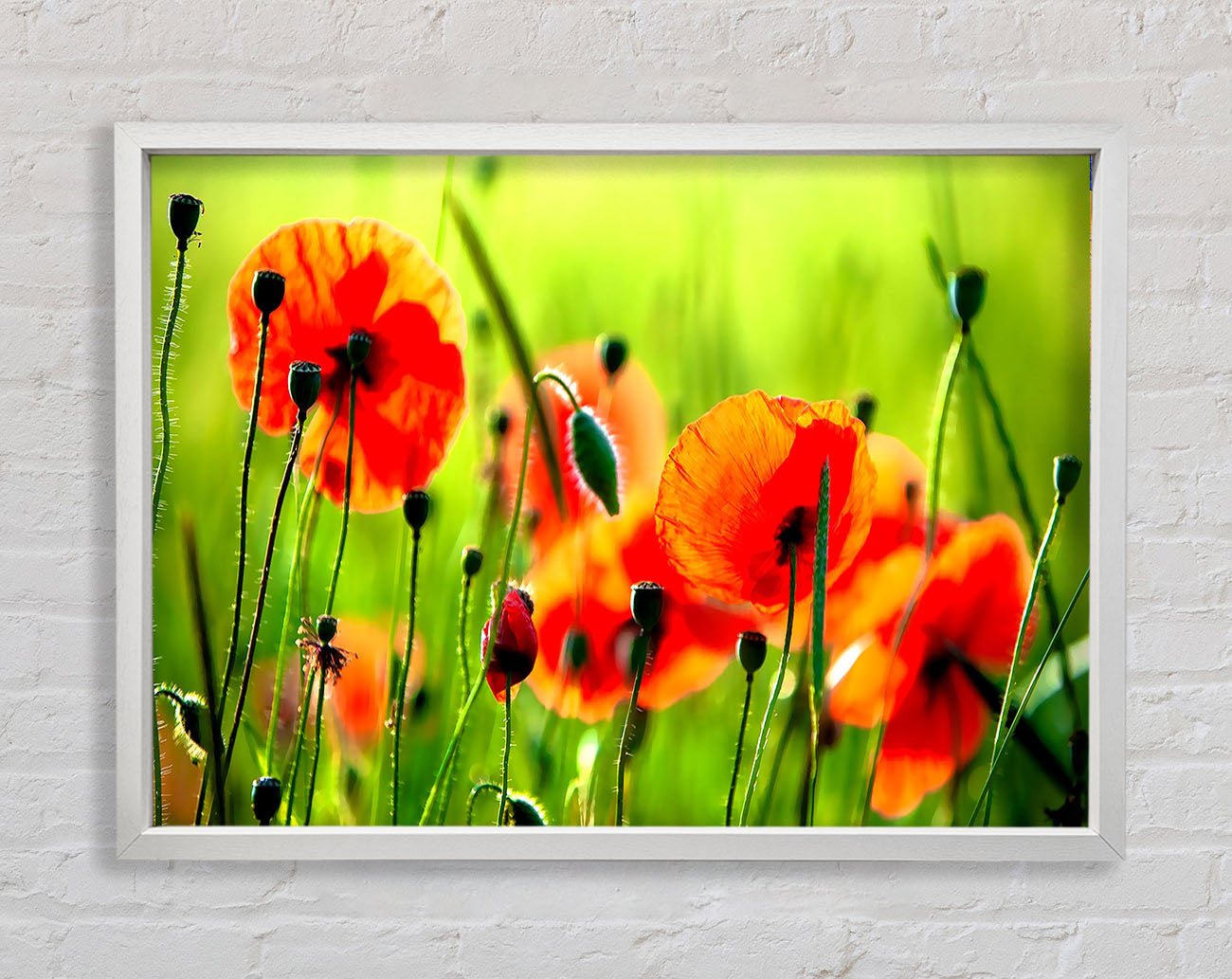 Beautiful Poppies Framed Wall Art