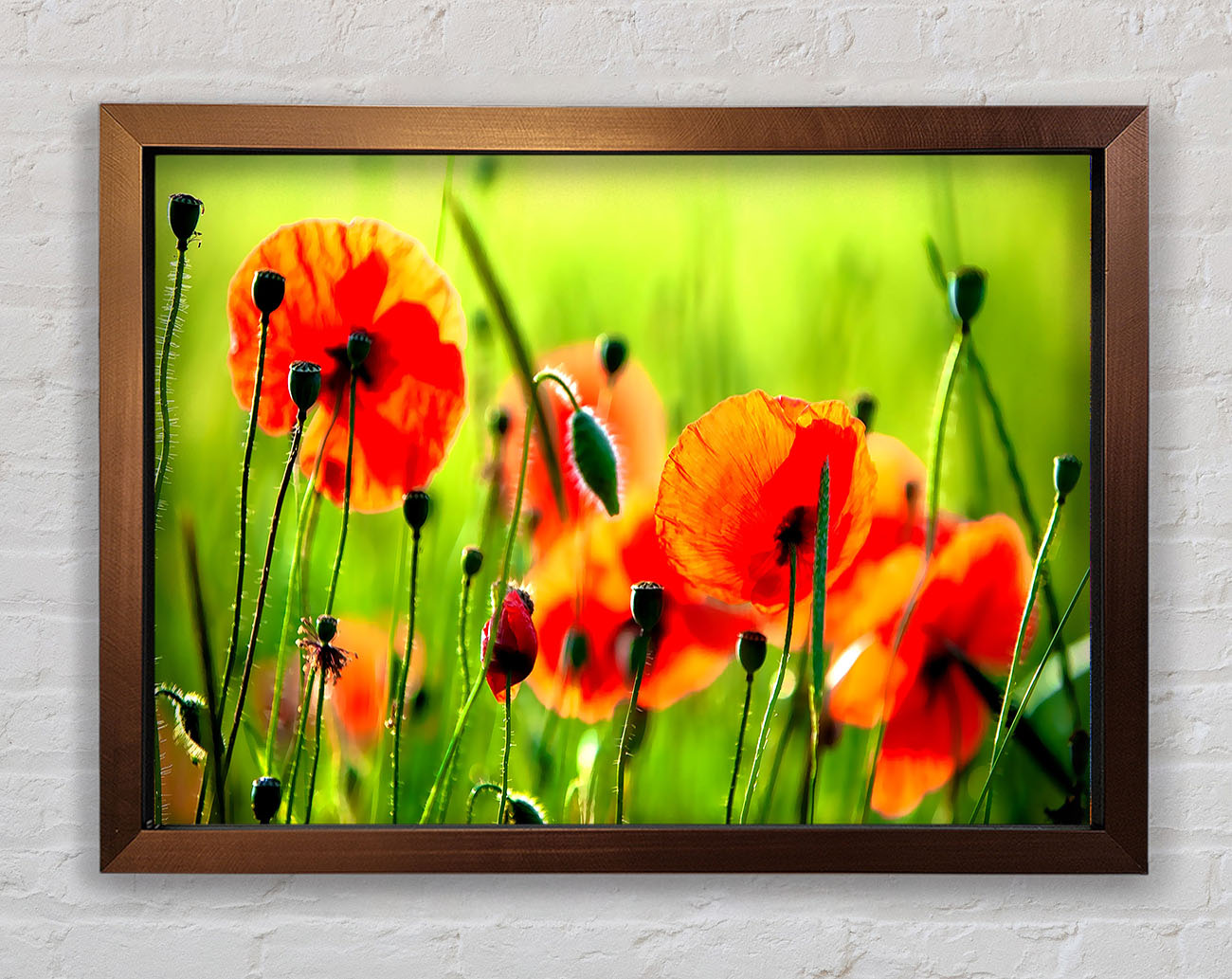 Beautiful Poppies Framed Wall Art