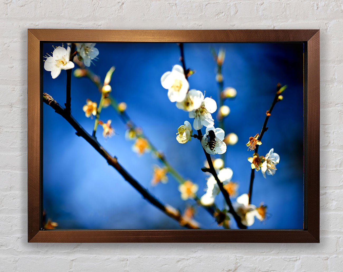 Bee On White Flowers Framed Wall Art