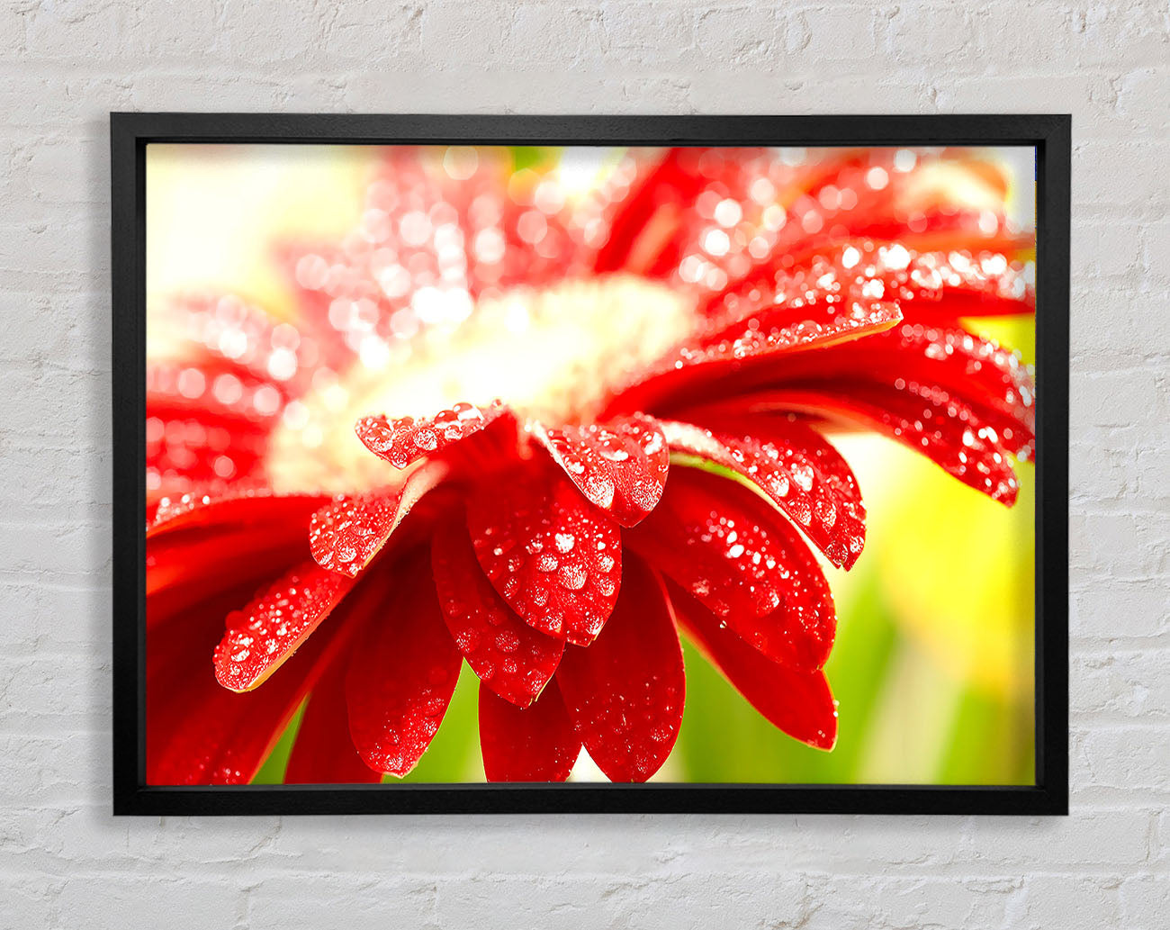 Amazing Red Flower Framed Wall Art