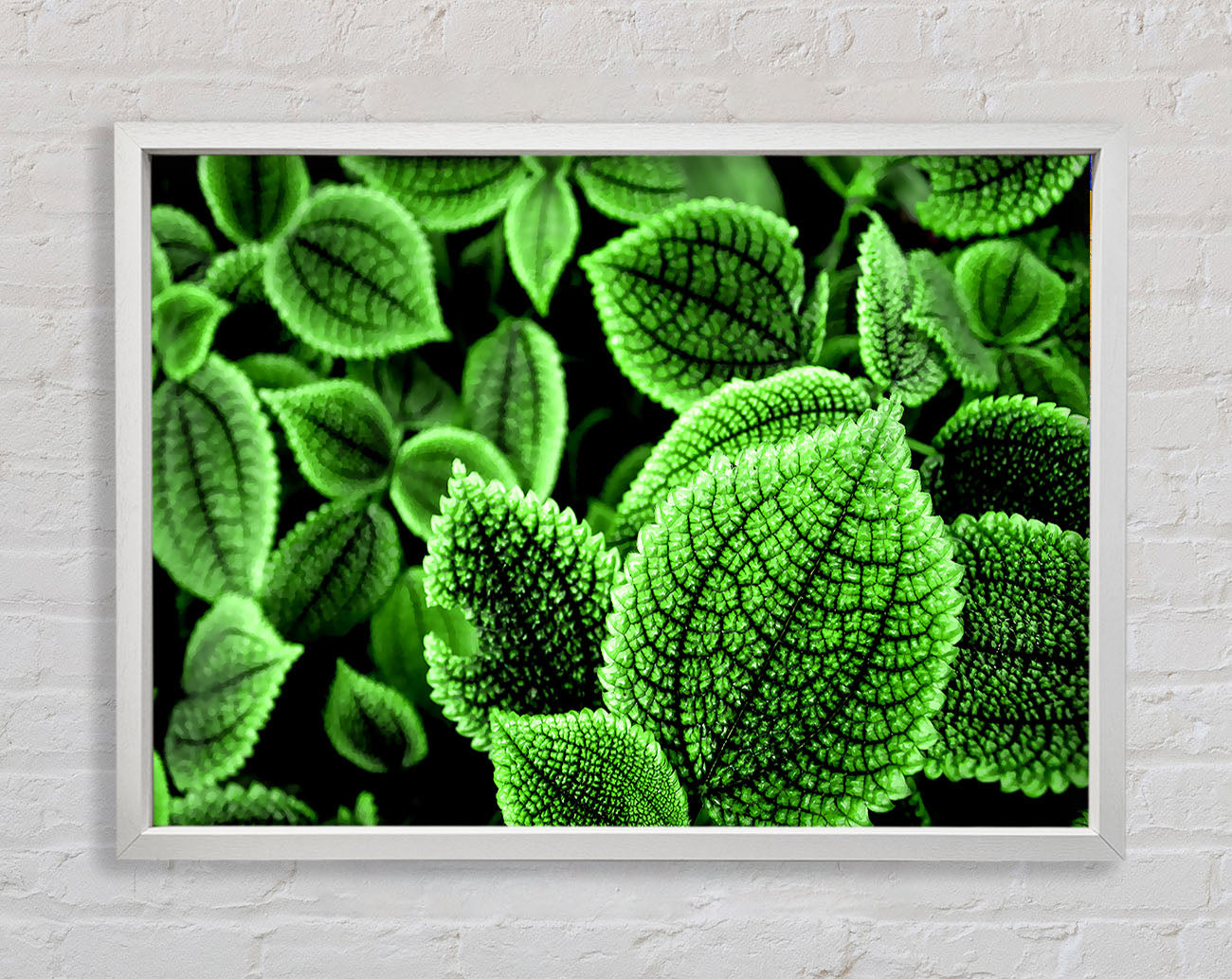 Beautiful Green Leaves Framed Wall Art