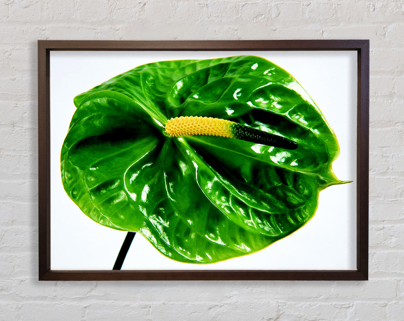 Anthurium Flower Framed Wall Art