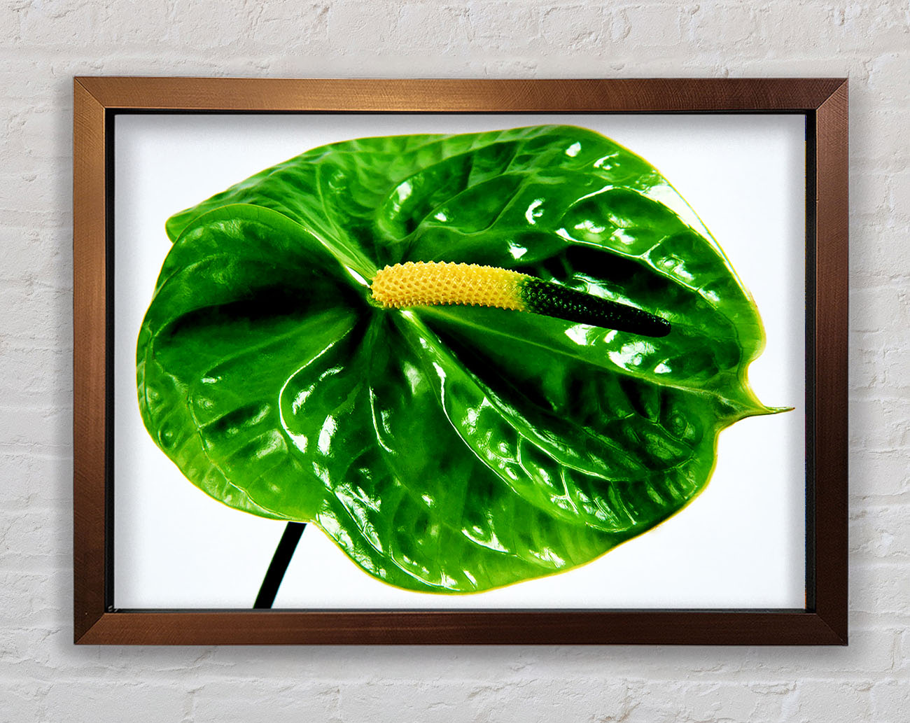 Anthurium Flower Framed Wall Art