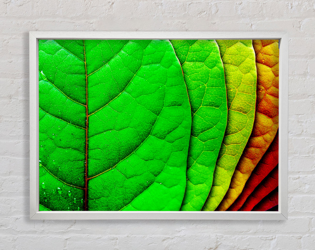 Colour Of Leaves Framed Wall Art