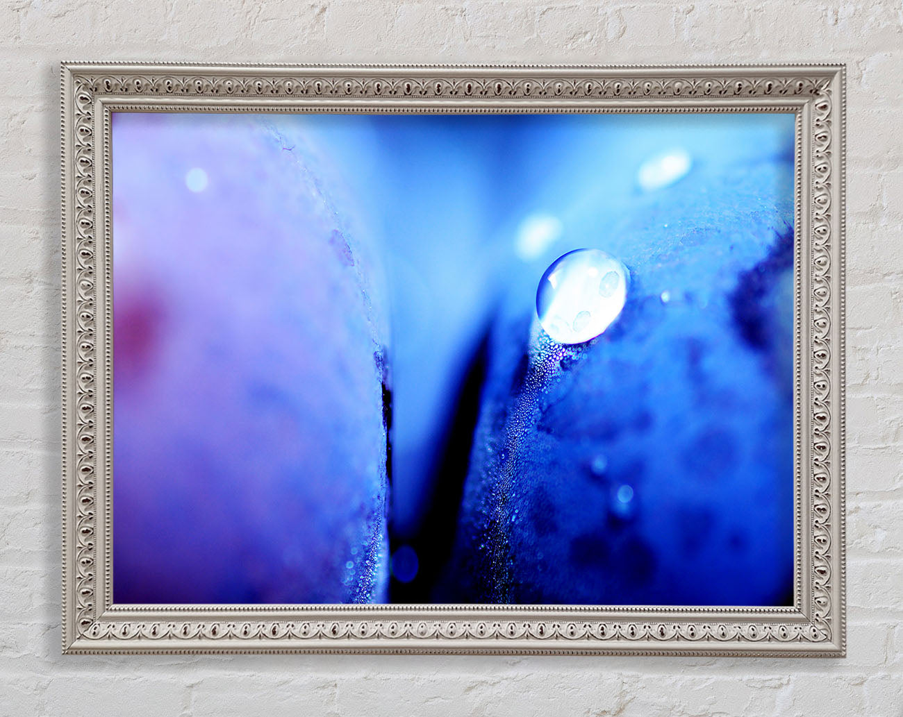 Blue Petal Water Droplet Framed Wall Art