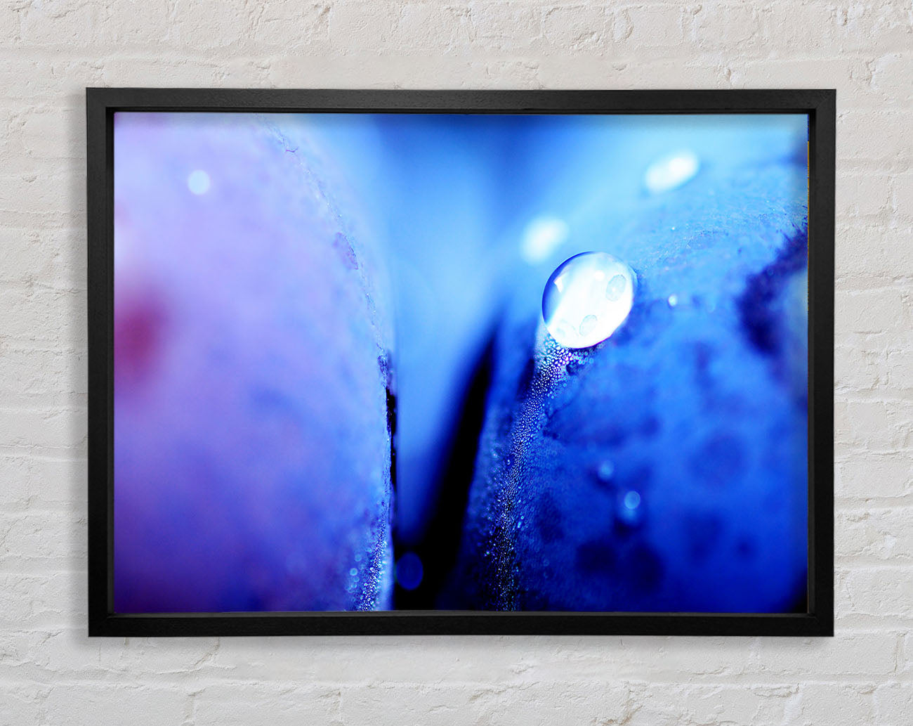 Blue Petal Water Droplet Framed Wall Art