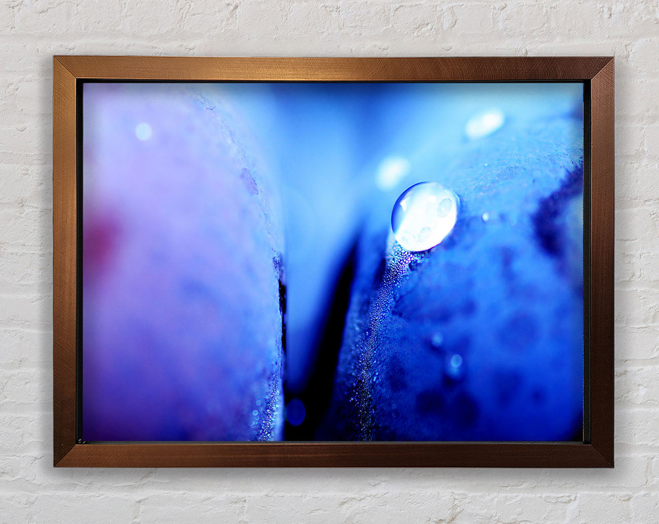 Blue Petal Water Droplet Framed Wall Art