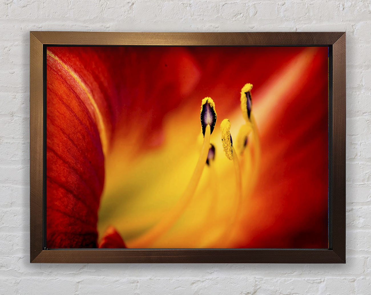Close-Up Of Beauty Framed Wall Art