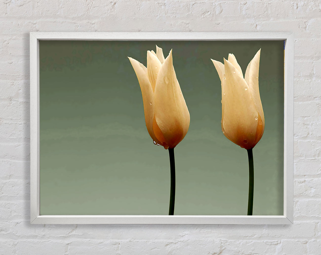Cream Fire Tulips Framed Wall Art
