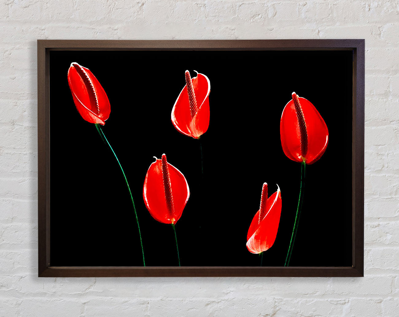 Beatiful Red Night Flowers Framed Wall Art