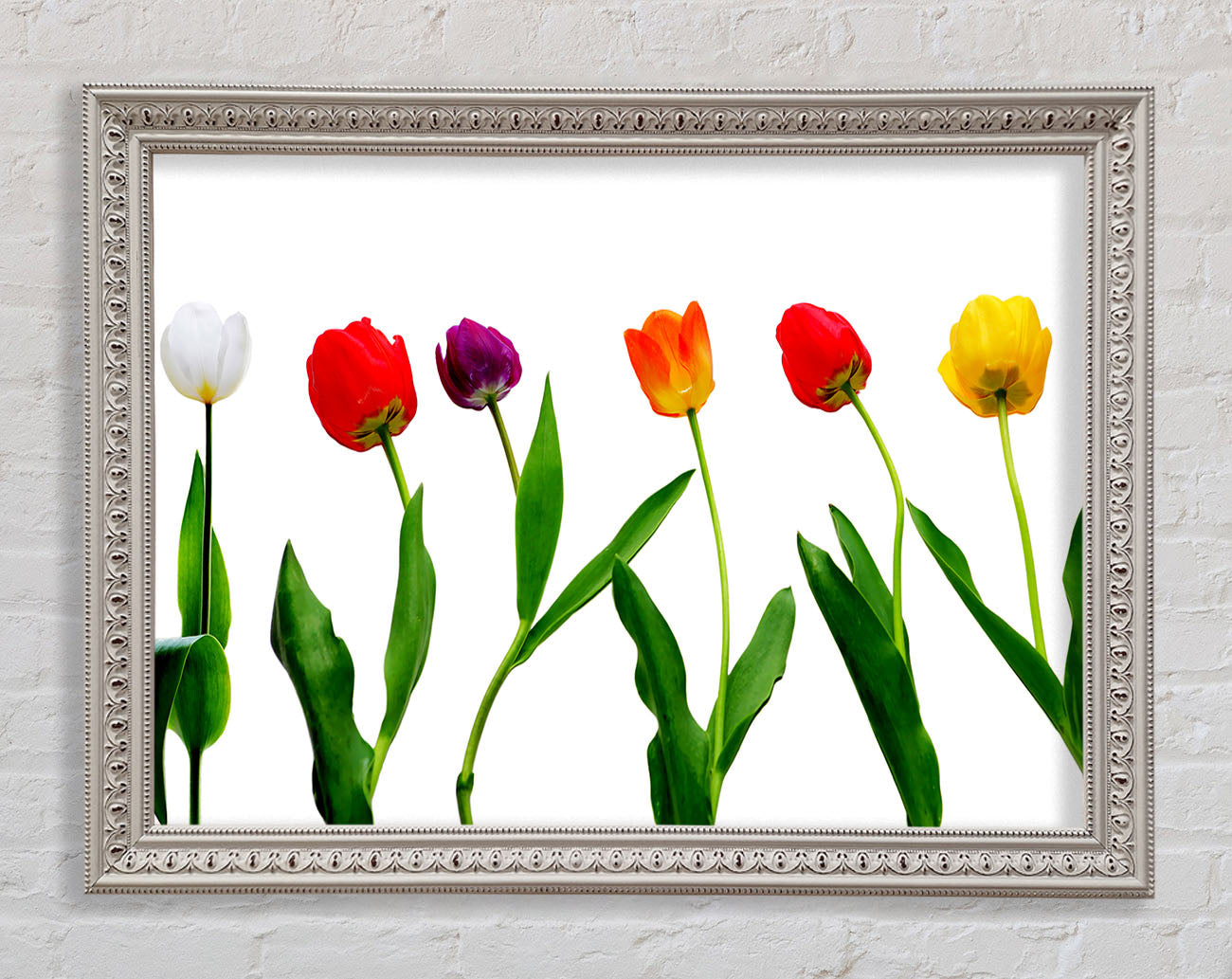 Colours Of Tulips Framed Wall Art