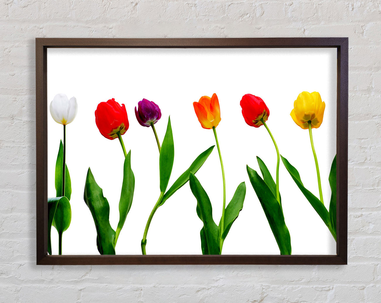 Colours Of Tulips Framed Wall Art